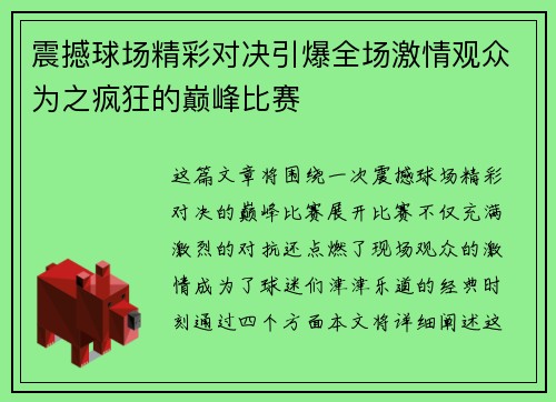 震撼球场精彩对决引爆全场激情观众为之疯狂的巅峰比赛