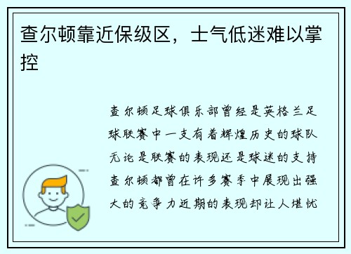 查尔顿靠近保级区，士气低迷难以掌控