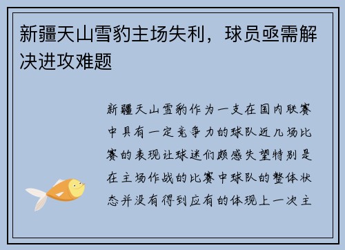 新疆天山雪豹主场失利，球员亟需解决进攻难题