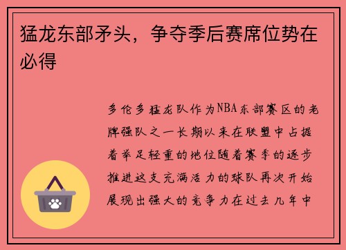 猛龙东部矛头，争夺季后赛席位势在必得