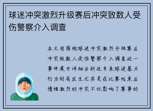 球迷冲突激烈升级赛后冲突致数人受伤警察介入调查